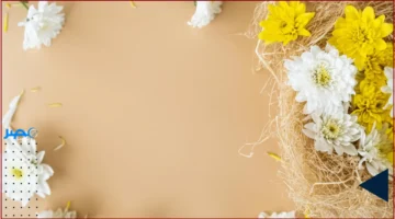 موعد العرض.. رانيا يوسف تكشف عن توقيت عرض مسلسل لينك المنتظر على الشاشة